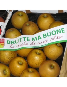 Mele Golden Ruggini Nostrane 2