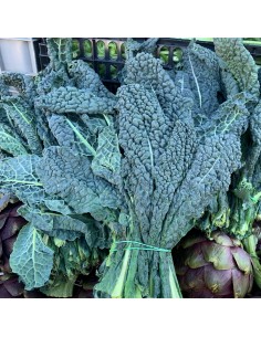 Cavolo Nero 2