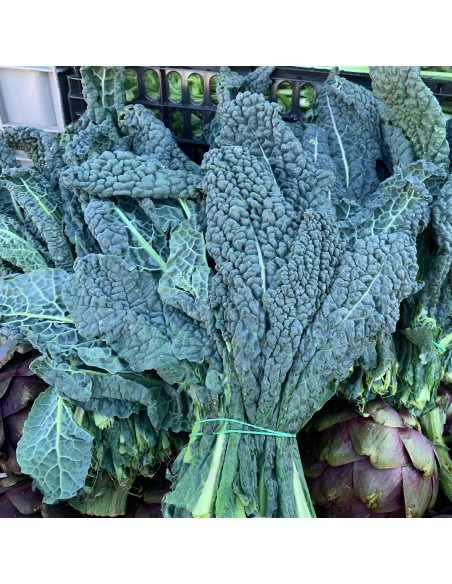 Cavolo Nero