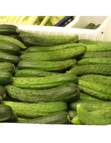 Cetrioli Piccoli Nostrani