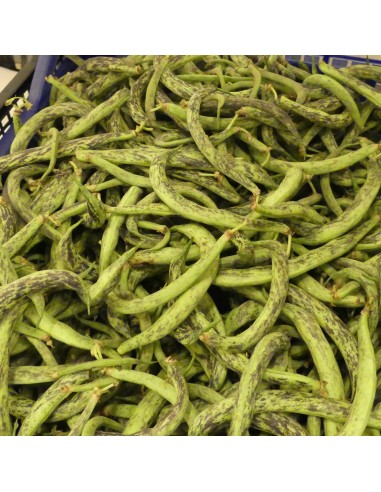 Fagiolini Extra