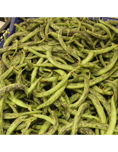 Fagiolini Extra