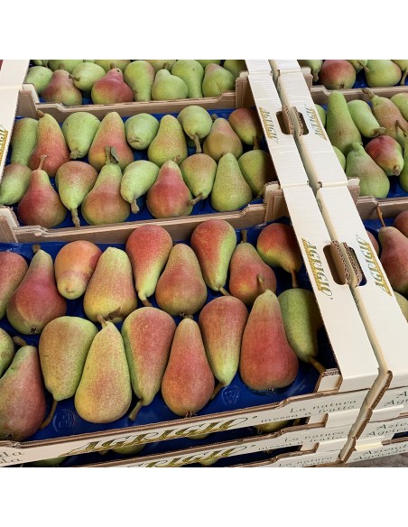 Pere Carmen Nuove