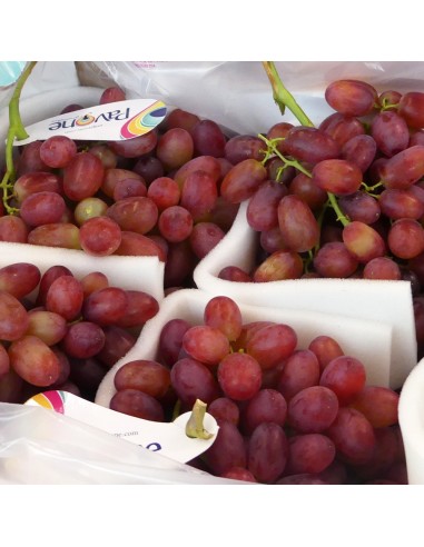 Uva Rosata Senza Semi