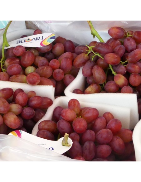 Uva Rosata Senza Semi
