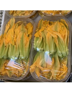 Fiori di Zucchina 2