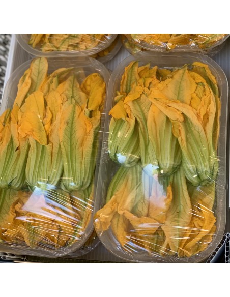 Fiori di Zucchina