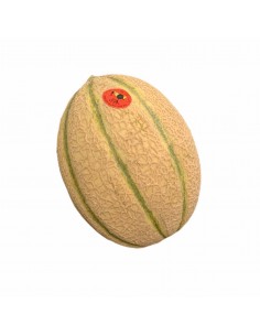 Melone Retato