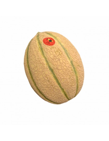 Melone Retato