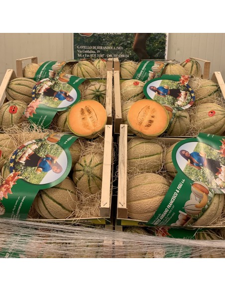 Melone Retato