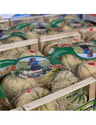 Melone Retato
