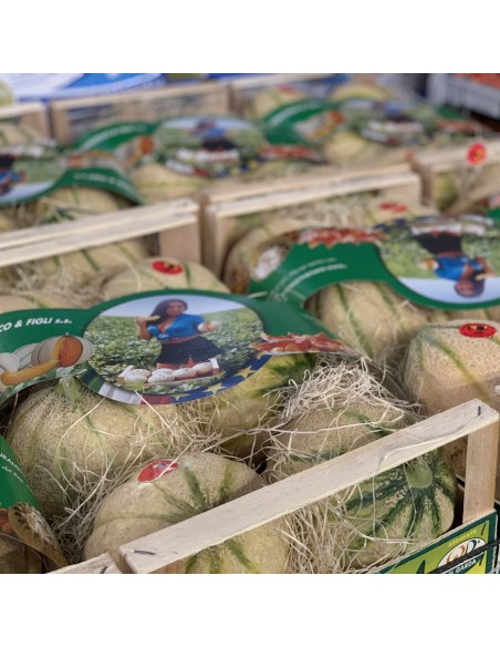 Melone Retato