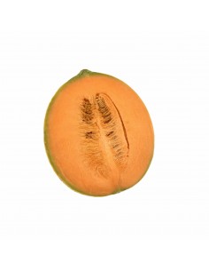 Melone Retato