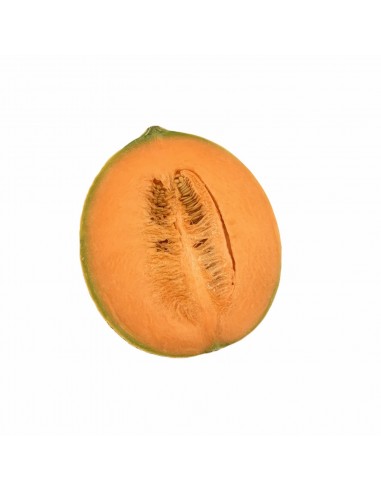 Melone Retato