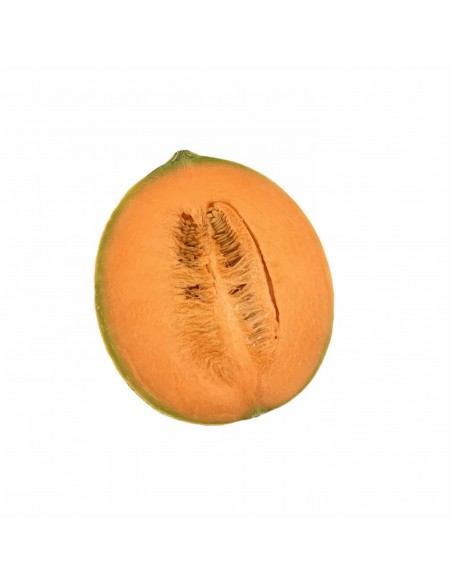 Melone Retato
