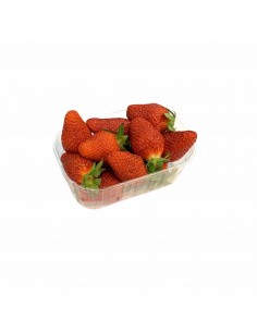Fragole Trentine