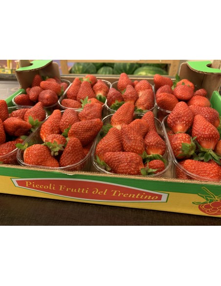 Fragole Trentine