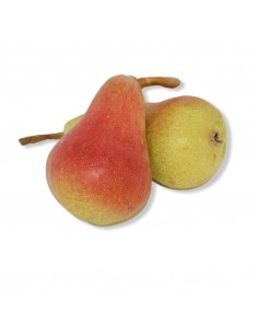 Pere Carmen Nuove
