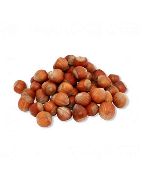 Nocciole