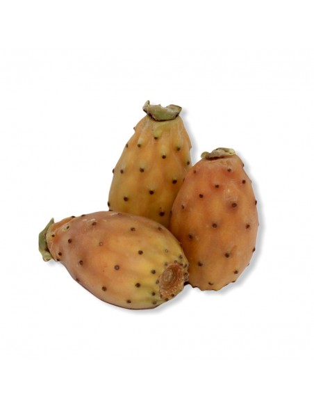 Fichi D'India