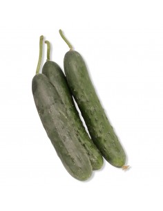 Cetrioli