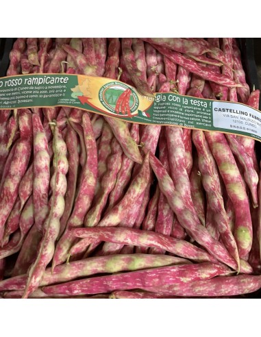 Fagioli Borlotti