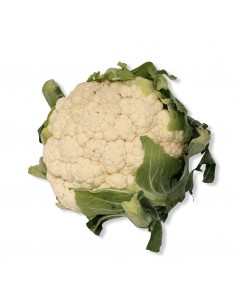Cavolfiore Bianco