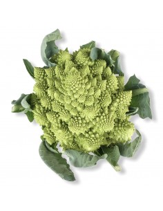 Cavolfiore Verde Romanesco