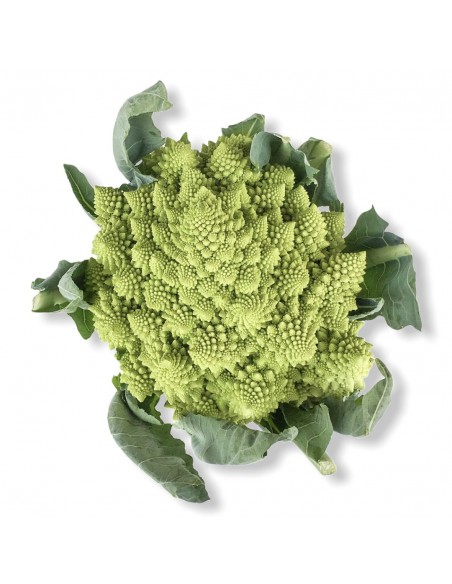 Cavolfiore Verde Romanesco