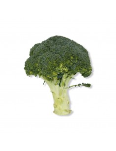 Broccoletto Verde
