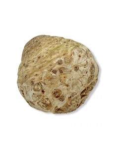 Sedano Rapa