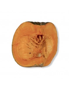 Zucca