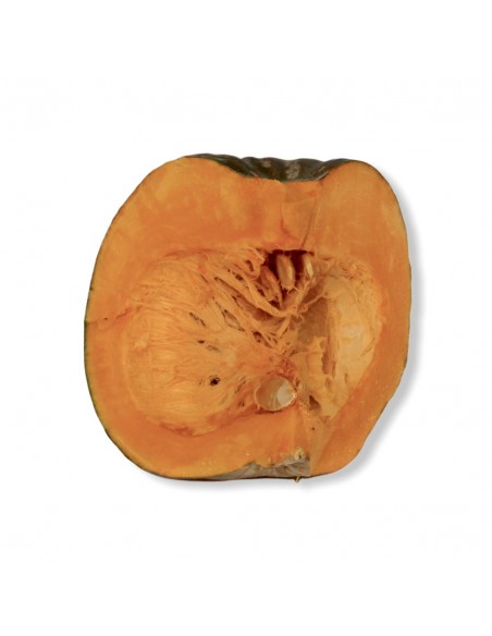 Zucca