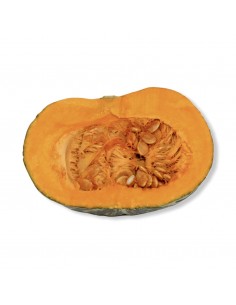 Zucca