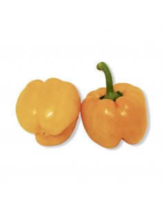 Peperoni Gialli Olanda