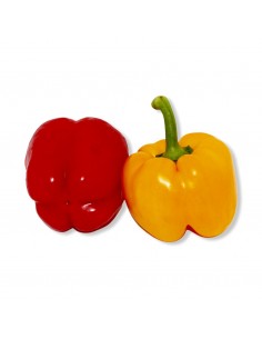 Peperoni Gialli Olanda