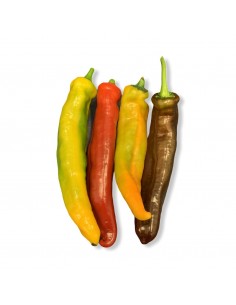 Peperoni Corno