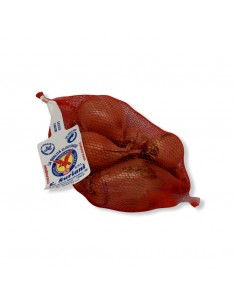 Scalogno