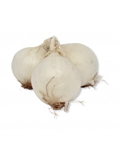 Cipolle Bianche