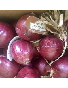 Cipolle Rosse di Cannara 2