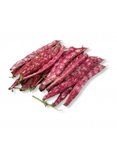 Fagioli Borlotti