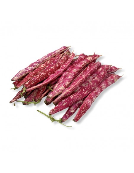 Fagioli Borlotti