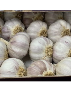 Aglio Rosso 2