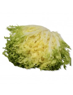 Insalata Riccia