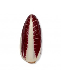 Trevisano Spadone
