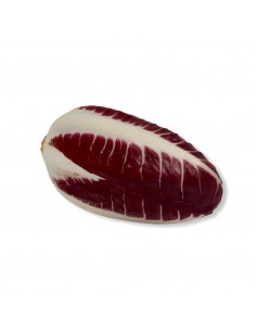 Trevisano Spadone 2