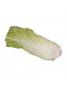 Insalata Pan di Zucchero