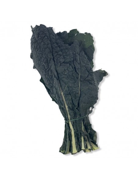 Cavolo Nero