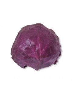 Cavolo Cappuccio Viola