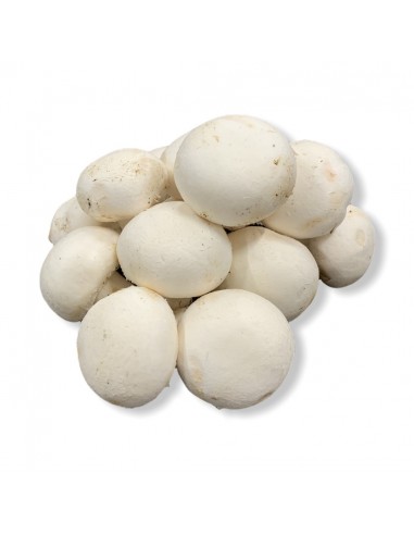 Funghi Champignon